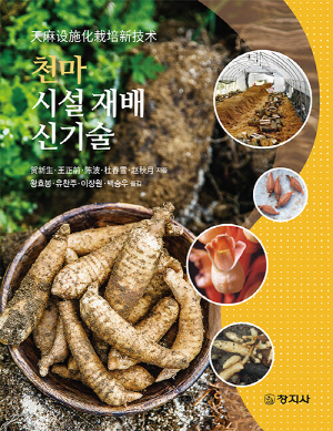 천마 시설 재배 신기술