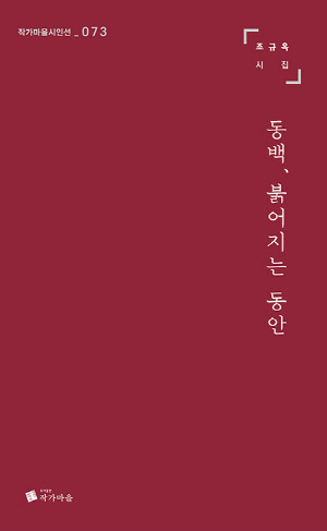 동백 붉어지는 동안