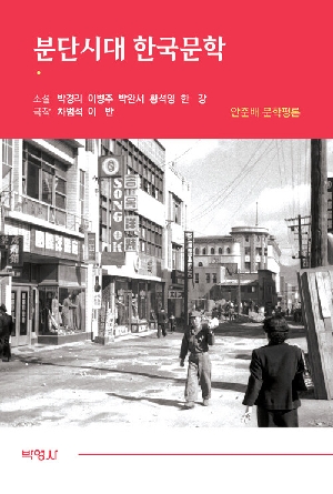 분단시대 한국문학