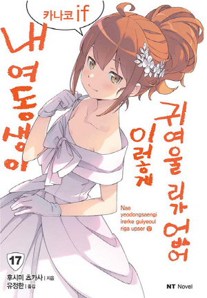 내 여동생이 이렇게 귀여울리가 없어 17