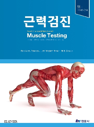 근력검진 (11E)