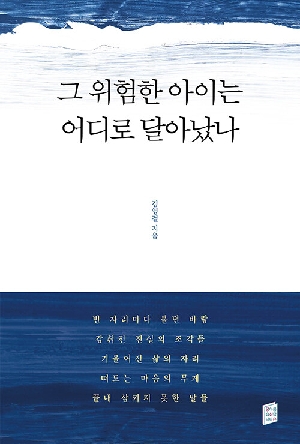 그 위험한 아이는 어디로 달아났나
